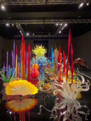 #chihulyexhibit at #biltmoreestate  . . #appalachianstrong #wncstrong #biltmore #biltmoreexperience #wnc #biltmorehouse #chihulyatbiltmore #dalechihuly #glass #art fyp 