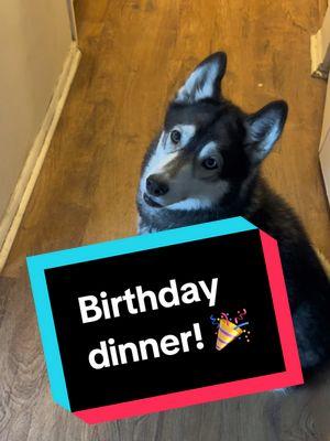 A special Birthday dinner for my special girl! Happy fifth birthday Monarch! #Husky #SiberianHusky #HuskiesOfTiktok #DogsOfTiktok #Birthday #DogBirthday #Dogtok #DogOwner #HuskyOwner #Kibble #DogFood #Salmon #Bread #CarbsAreLife 