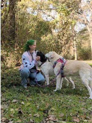 When Wally arrived at our shelter, his world had been shattered. He had endured a profoundly traumatic experience—losing his beloved human and being left alone with them for days. The heartbreak and confusion left Wally despondent, withdrawn, and emotionally shattered. With no family members able to take him in, Wally came into our care, carrying the heavy burden of grief and emotional scars. Our veterinarians diagnosed Wally with PTSD, a rare but real condition in pets who have endured significant trauma. Determined to help him heal, our incredible behavior trainers got to work. Through constant care, patience, and love, Wally has made a remarkable transformation. Today, he’s a sweet, loving dog who thrives with the right support system. Wally is a friend to all—he does well with other dogs, cats, and even kids. However, his journey has left him with fear-based separation anxiety, a lingering effect of his PTSD. He needs a home where he’ll never feel alone again, ideally with another pet to keep him company and help him feel secure. Whether his companion is a playful dog or a comforting human, Wally just needs someone who understands his heart and is willing to share their love. This courageous boy has overcome so much, and now he’s ready for his second chance at a forever home. Wally deserves a family who will see past his scars and embrace the amazing, resilient, and loving dog he truly is. In this video, you will see Wally’s transformation from beginning to end. All he’s missing is a human to call his own. Are you the one to give Wally the life he’s been waiting for? Visit hsnt.org to learn more about adopting this incredible pup. Let’s find Wally the home he deserves—a place filled with companionship, comfort, and unconditional love. #RescueDog #HSNT #RescuedAndLoved #HealingWithLove #AdoptAndHeal #AdoptDontShop #HealingPaws #SecondChancesForDogs