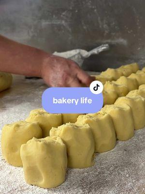 Bakery life at Chicago Chinatown’s oldest bakery. #chinesebakery #chicagobakery #chicagochinatown #chinatownchicago #chinesebakery #familyownedbusiness #chinatownsoldestbakery 