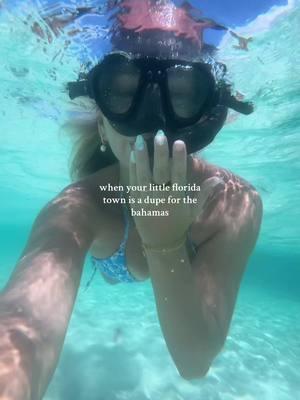 secret slice of paradise #floridalife #florida #bahamas #ocean #diving #marinebiology #beachgirl #islandgirl #manatee #stingray #swimmingwithmanatees 