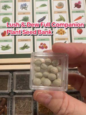 Unlock the secrets of a flourishing garden with Lush & Dew’s Companion Plant Seed Bank! 🌱✨ This meticulously curated collection features 32 unique seeds designed to boost the growth and vitality of your favorite plants, including peppers, potatoes, radishes, tomatoes, lettuce, corn, onions, and pumpkins. Discover the magic of companion planting and transform your garden into a harmonious oasis. Start your gardening journey today!  #CompanionPlanting #GardenJoy #LushAndDew #SeedBank #ThrivingGarden #GreenThumb #BeginnerGardeners #TikTokShopHolidayHaul #GiftGuide 