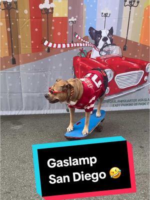 Gaslamp Pet parade 🤣🤣🤣#fyp #TikToktrend #doglover #viralvideo #skaterdog #gaslampsandiego #funnydog #pet #christmas 