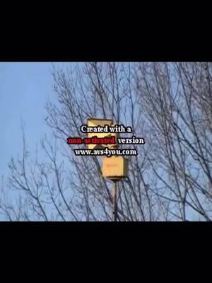 Harper Woods MI Federal Signal Thunderbolt1000AT A007792 P80 5/6 Port on Chopper Level 4 Settings on the Terminal the anniversary of it being replaced by a Federal Signal 2001-130 will be this Sunday and its the day to remember of it getting replaced on December 22nd 2009 video credit Cheetawolf this was my childhood favorite #harperwoodsmichigan #waynecountymichigan #federalsignsignalcorporation #thunderboltsiren #fsthunderbolt1000t #1980 #2009 #thunderboltsiren #thunderbolt #tornadosiren #tornadosirens #airaidsiren #replaced #20319harperavenue #chopperlevel4settings #loud #sirenenthusiast #loudness #punchy #cheetawolf #youtube #sirenhunters #christmas #happyholidays #replacement 