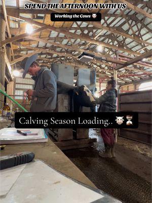 It’s about that time… calving season loading 🐮⏰⏳ #Lifestyle #ranchlife #cattlelife #ranchtok #farmtok #cattle #calvingseason #husbandwife 