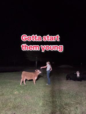 Gotta start them off young!!! #fyp #influencer #showcattle #showlife #keepinitcountry #viralvideo #willow #slay #tubby #cattle #showmanship #startthemyoung 