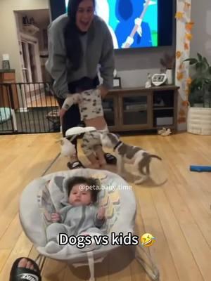 Dogs and Kids🥰🤣#fyp #fypシ ##pet #pets #dog #dogs #dogsoftiktok #PetsOfTikTok #funnypets #funnypetsoftiktok #funnypetvideos 