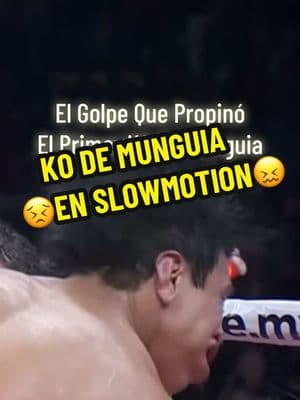 #slowmotion #camaralenta #boxing #boxeomexicano #france #mexico #jaimemunguia #brunosurace #ko #knockout #knockdown #fy #viralvideo #trending #saintseiya #caballerosdelzodiaco 