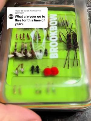 Replying to @Isaiah Newberry This guide box comes with it all. You can dry fly, nymph or streamer. If you dont think its a good selection, your flyfishing buddy will. This box WILL yield trout. One of my go to flies for the wintet is anred zebra midge, pat’s rubber legs, and the small egg!!!#flyfishing #troutflies #troutfly #flyfishdelawhere #wetnets