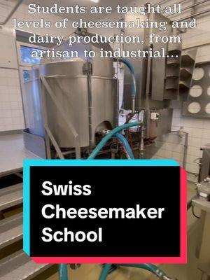 Have you ever wondered where the best Swiss cheesemakers learn their skills? It all starts at the Institut agricole de Grangeneuve in Fribourg, where aspiring cheesemakers can apprentice and get certified to be cheesemakers. The Institut celebrates its 100th anniversary this year! My partner and I were honored to have been the first Americans to visit as guests of @Fromage Gruyère SA, and here are some of my favorite things that I learned during the tour:  - Grangeneuve has one onsite farm and works with several others in nearby villages. All of the milk used is @legruyereaop quality and they pay a premium for the top quality milk.  - the facility also houses a national institute for raw milk research, which studies raw milk cheese and cultures. Their focus is researching how treatment of the land affects the flavor of the milk.  - students can also study other aspects of agriculture and farming onsite - there are about 1,200 students per year at the Institute, 250-300 of which are enrolled in the cheesemaker programs.  - the cultures used to produce their Gruyère AOP and @vacherinfribourgeoisaop are produced onsite in their laboratory.  - Grangeneuve was named after a building that was part of a local monastery - the institute took over the land from the monks and continued their research on cheesemaking, agriculture, and tending to the land.  - aspiring cheesemakers can start their apprenticeship as young as 15 years old!  - students are taught all methods of dairy production, from industrial to farmstead, and all styles of cheese, to ensure that they are well rounded and ready for any job when they leave and enter the job market.  As always, I have many more notes and a lot more footage so if you want to know/see more, let me know!  #cheese #cheesemonger #foryou #fyp #cheesetourism #switzerland #swisscheese #gruyere #vacherin #vacherinfribourgeois #fribourg #kase #fromage #svizzera #formaggio 