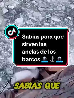 SABIAS PARA QUE SIRVEN LAS ANCLAS DE LOS BARCOS, #anclas #barcos #buques #lanchas #cruceros #mundointeresante43 #mundoestelar43 #mundoestelar  #educacion #filosofia #sistemas #informatica #salud #vida #mitologia #mitologiagriega #mit#os #cuentos #dioses #yp #ypfッ #ypf #nolosabias #cosasquenosabiashace5minutos #cosascuriosas #interesante #cosasquenosabiashace5minutos #AprendeEnTikTok #aprender #ciencia #fisica #galaxia #universo #cultura #antiguedades #anatomia #cuerpohumano #cientificos #inteligenciaartificial #novedades #aprendeconmigo #historia #geografia #filosofia #frabricacion #fabricacionmanual #AprendeEnTikTok #tendencia #viral #medicina #SabiasQue #curiosidades #asisehace #aprendedetodo #aprender #AprendeConTikTok #asies 