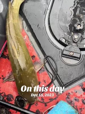 #onthisday #wishingwell#juicewrld #shearwater #vibetribe #myvibe #motorizedkayak #kayakfishingmaryland #marylandkayakfishing #up2parfishing #chasingdragons #freshwater #goodday #catchandrelease #honeyhole #catfishing#Catfished