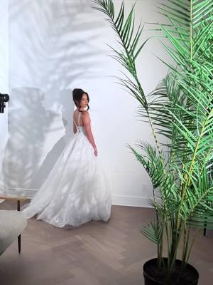 A BEHIND THE SCENES LOOK AT OUR EDITORIAL BRIDAL SHOOT (Results will be posted in the next post)  VENUE: @signiasanjose International Suite  PHOTOGRAPHY: @Studio Dizon  VIDEOGRAPHY: @weddingvideofilms  EVENT PLANNER: @events_bylola  GOWN: @B Chic Fashions  SHOES: @Jimmy Choo  #bridalphotoshoot #bridalinspiration #bridalphotography #bridalmasterclass #bridalclass #masterclass #fyp #makeup 