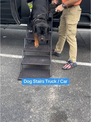 Foldable Dog Stairs (no ramp) zero stress on dogs hips & joints. #dogstairs #dogramp #viraldog #dogsoftiktok #largedogs #bigdog #dogmusthaves #holidayhaul #giftguide #dogcare 