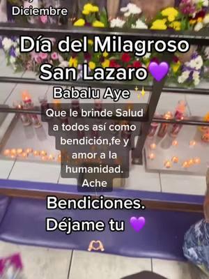 💜1️⃣7️⃣💜 Bendiciones 💜✨ #sanlazaro #sanlazarobendito #sanlazaro💜 #sanlazarobabalu #babaluaye #babaluaye💜 #babaluaye💜💜💜💜💜 #acheelegua #Recuerdos 