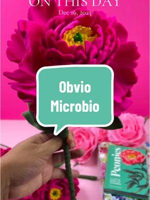 #onthisday  Obvio Microbio!! #feltflowers 