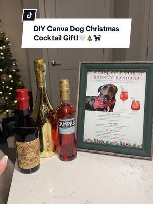 I am OBSESSED how this turned out thank you to @Canva @JOANN ® and @Total Wine & More #dogchristmaspresent #giftsfordads #diygift #diygiftideas #lastminutegifts 