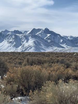 The Eastern Sierras>  #mammothmountain #mammoth #california #roadtrips 