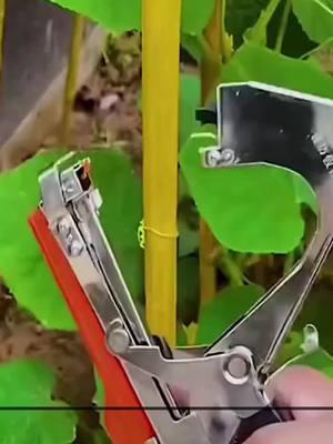 🔥Revolutionize Your Gardening with Our Plant Tying Machine! 🌟 #PlantTyingMachine #GardeningEssentials #tiktokmademebuyit #GardenTools #TrendingGardening #ShopNow #GreenThumbHelper #EffortlessGardening#tiktokshopblackfriday#tiktokshopcybermonday #spotlightfinds