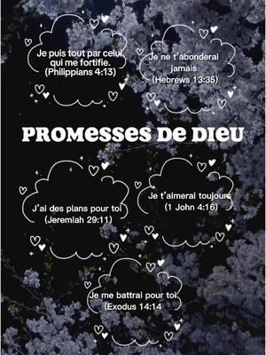 #promesse #promessededieu #unverset #verset #versetbiblique #versetdujour #tiktokchretien #chretien 