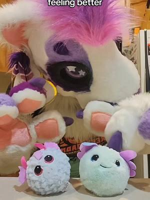 I purposefully left the recording audio in so you can hear the thud of the rubber balls lol. I got these last week Sunday, hope to talk about them soon! #fursuit #furry #beaniebaby #tybeanies 