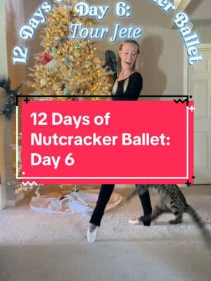 #floundercat #floundermeatloaf #flounderkitty #bengalcat #ocelot #leopardcat #catsoftiktok #bengalcatsoftiktok #bengalcatlove #christmastreecat #justiceforflounder #christmascat #christmas2024 #christmastree #nutcrackerballet #12daysofnutcrackerballet #dancingcat #catsthatdance #balletcat #cattraining #cattrainer #cattrainingtips #pettraining #pettrainer #cattricks 