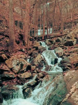 Nature Vibes in Georgia - Cloudland Canyon State Park - Sittons Trails - Walking in Nature  #waterfall #waterfalls #nature #naturevibes #naturelove #naturelover #naturelovers #calming #positivevibe #peaceful #goodvibes #longwaydown #forest #forestvibes #photography #beauty #fyp #takeawalk #explore #trail #Hiking #hike #Outdoors #trails #lovetrails #positivevibes #natureisbeautiful #meditation #aestheticnature #timepass #lostworld #meditate #trailspinexplorer  #hiddengems 