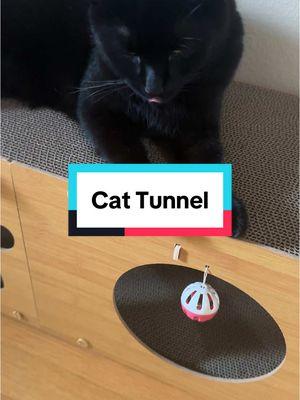 I always buy these loungers for my cats because they come with the scratching cardboard and my cats like to light on it and also use it for their claws. This one is a tunnel so they can go inside or lounge on the top ##catlounge ##cattunnel##scratchingpost##catscratcher