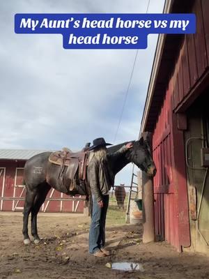 We have two different types 😭 and for reference Im 5’9 🧐 #morganhatton #cowgirlsoftiktok⚡️ #fypシ #fyp #western #teamroping #roping #coldweatheroutfits #westernfashion #headhorse #horsesoftiktok #horsetok #horsegirl 