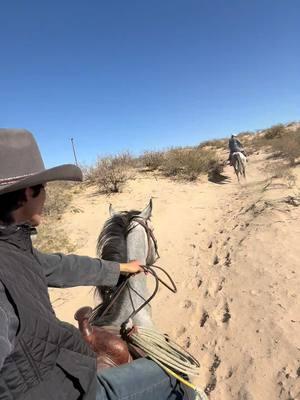 It's all Gods Creation, and that's what I love  • • @virgen.ranch  • • #cowboy #outlaw #horses #trailride #horseriding #horse #wildwest #country #rdr2 #horsepower #martyrobbins #mylove #lower #valley #texas #fyp #foryou 