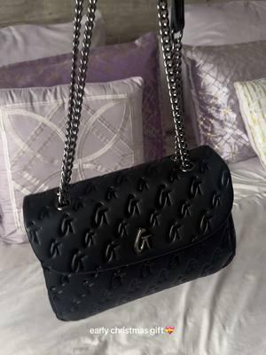 i loveeeee  #glamaholiclifestyle #christmasgift #pursetok #purse 