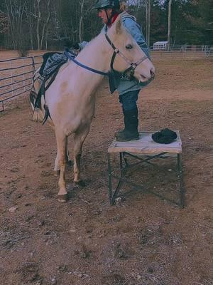 Monty‘s training another great day second ride in the big ring. He did amazing! #❤️ #foryou #fyp #lazybrookefarm #foryoupage #horse #horsesoftiktok #farmlife #training #4years #monty #happymomma 