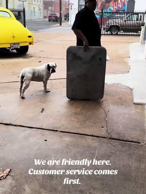 It’s his world. We’re just living in it. #topfloorcars #downtownbrenham #dogs #dogsoffacebook #bully #classiccarsforsale #classiccardealership 