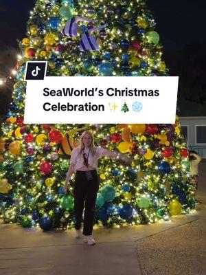 🐬🎄SeaWorld’s Christmas Celebration is pure holiday magic! 🎄🐬 Head to UNATION to learn more about the holidays at SeaWorld! ✨📲 Dive into a winter wonderland filled with millions of twinkling lights, festive shows, and fun animal encounters. Stroll through the glowing Sea of Trees, grab some delicious eats, or meet Rudolph and the gang! Have you been to SeaWorld's Christmas Celebration? Let us know in the comments! 👇 #unation #stufftodoinorlando #thingstodoinorlando #orlandoholidays #seaworld #seaworldchristmascelebration #holidayevents #orlandofl