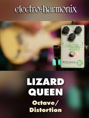 EHX Lizard Queen Octave Fuzz Pedal Demo by Tom Burda #ehx #electroharmonix #jhspedals #joshscott #danieldanger #octave #fuzz #distortion #guitarpedals