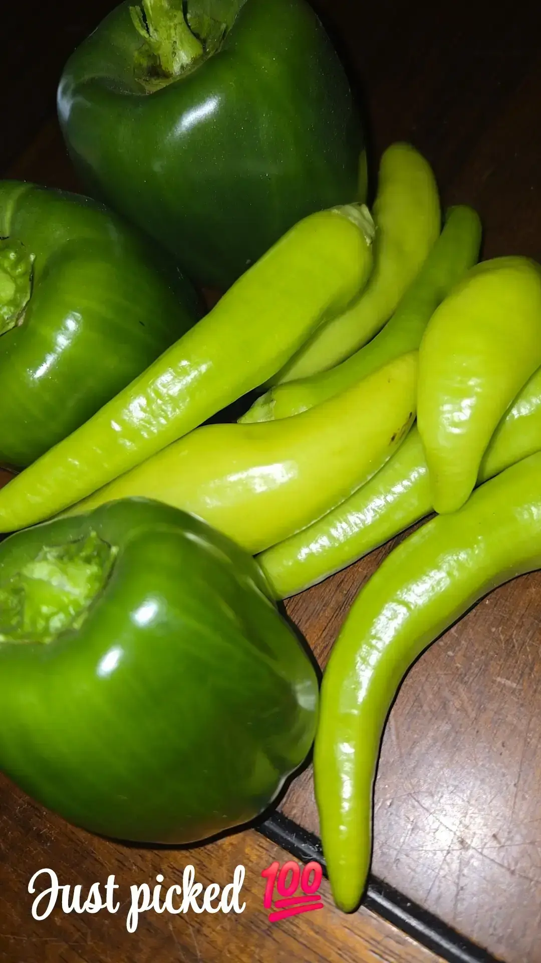 My peppers are still giving and I am so thankful. I was to master container gardening and I am doing it one day at a time! I love it! #container #containergarden #growyourownfood #peppers #hotbananapepper #bellpeppers #fy #livingmybestlife 💯🥺