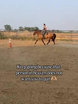 #mare #dun #horse #aqha #quarterhorse #barrelhorse #ropehorse #horsesofcolorado #heaven #CapCut 