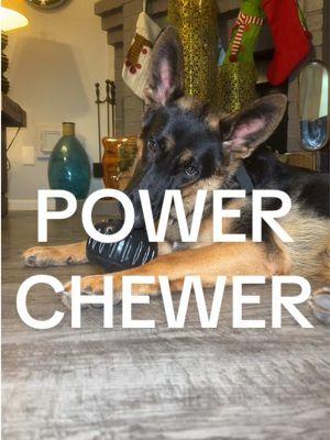 🐶🐾If you have a large breed dog or even a small breed dog, and they are power chewers, and you need to divert their attention to an enrichment toy for dogs, then take a look at this one by @Woof Pet ! 🐾🐶#DogsOfTikTok #GermanShepherd #Dobermans #Labs #GermanShepherdsOfTikTok #CaneCorso #pitbull #americanstarffordshire #weimaraner #largebreed #largedog 