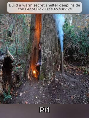 Pt1 | Build a warm secret shelter deep inside the Great Oak Tree to survive #survivalcamp #build #Outdoors #survivaltips #survivalskills #camping #fyp #foryou #foryoupage #bushcraft #bushcrafting #shelter #building #builder #bushman #campinglife #rock