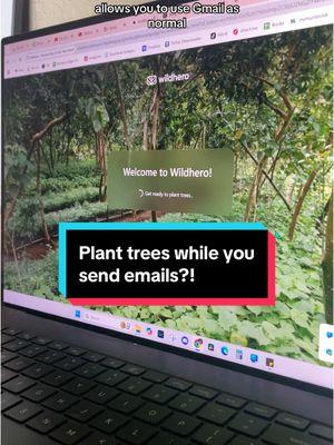 [AD] Zero waste on a budget tip of the day!! Plant trees for FREE with the new Wildhero Chrome extension 🌲📩  Simply download the extension and use your email as normal! Your data is secure: they never sell, share, or distribute your data. So, what are you waiting for? Give the free Wildhero extension (or mobile app) a try and get to planting trees! Who can plant more than me? #trees #savethetrees #zerowaste #ecoonabudget #lowwaste