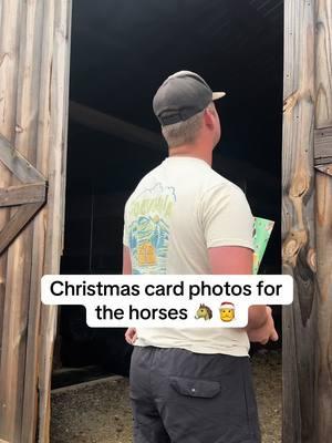 They are SO CUTE🥹 #christmascard #christmasphotoshoot #horse #barrelhorse #christmas #sydneyoneal #trend #fy 