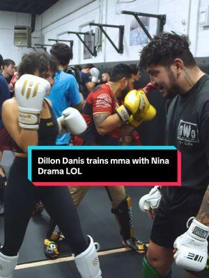 Dillon Danis trains mma with Nina Drama LOL #UFC #mma #dillondanis #chama #ninadrama #kickboxing #boxing #muaythai #muaythaifighter #muaythaifighter #taekwondo #jiujitsu #brazilianjiujitsu #jiujitsugrappling #jiujitsulifestyle #wrestling #wrestlingtiktok #wrestlingtok #fit #fitness #grappling #karate 