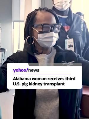 An Alabama woman became the third American to receive a gene-edited pig kidney transplant, an experimental procedure that researchers hope may one day help the more than 100,000 people on the U.S. transplant waitlist. #news #yahoonews #healthnews #organtransplant #kidneytransplant