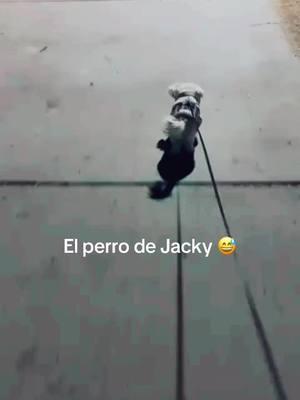 Jacky y coco 🥰#paratii #family #Az #viral #bendecida #hijas #phx #perro #parque 