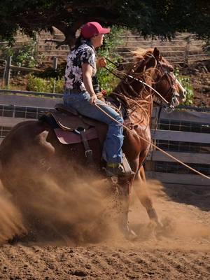 The doctor is dialed in😤  #ropehorse #breakawayroping #breakawayhorse #breakawayroper #rodeohorse 