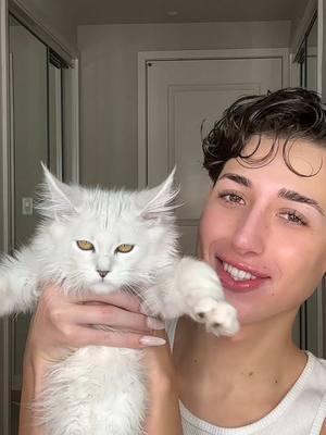 I LET MY KITTY CHOOSE MY MAKEUP ROUTINE🐱💄 ##makeup##beauty##MakeupRoutine##cattiktok