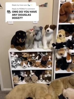 Replying to @PEBBLE this is a repost, my collection is currently in storage!  #primeshiba #wolflover #collectionroom #plushcollector #stuffedanimals #doglover #wolfdog #wolfgirl #akitas237 #plushcollection #plush #dogplush #plushcommunity #plushtok #husky 