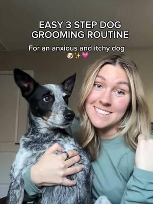 My dog must haves to prep for the Holidays!  This grooming routine keeps them: 🎄 Less anxious  🎄 smelling good  🎄 No more itchy paws  We have been loving using @earthrated to keep our dogs clean and smelling great for all our holiday parties!  #earthratedpartner #dogtips #itchydog#pawsoak #itchypaws #doggrooming #dogswithanxiety #dogenrichment #dogbathroutine #dogbath #dogmusthaves #dogsmellhacks #anxiousdog 