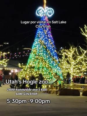 Lugar por visitar en Salt Lake City Utah #zoolights #viralvideotiktok 