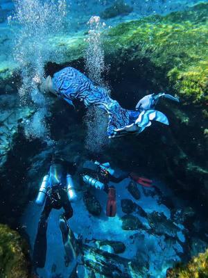 Yummy mermaid soup in a giant bowl #underwater #freedivers #underwaterworld #mermaidhair #mermaid #mermaidswimming #mermaidswims #mermaidvideos #mermaidcontent #contentcreator #florida #explorer #explorerpage #fypシ゚viral 